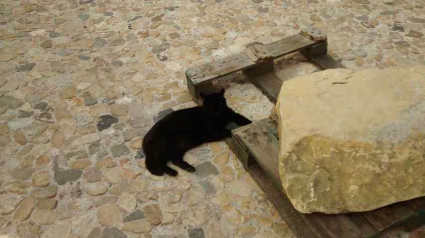 IMG_20150620_170343505