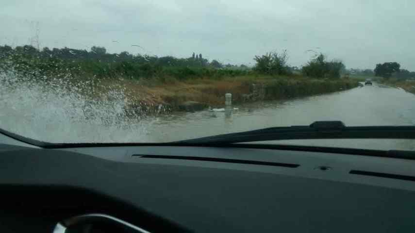 IMG_20150823_171249265