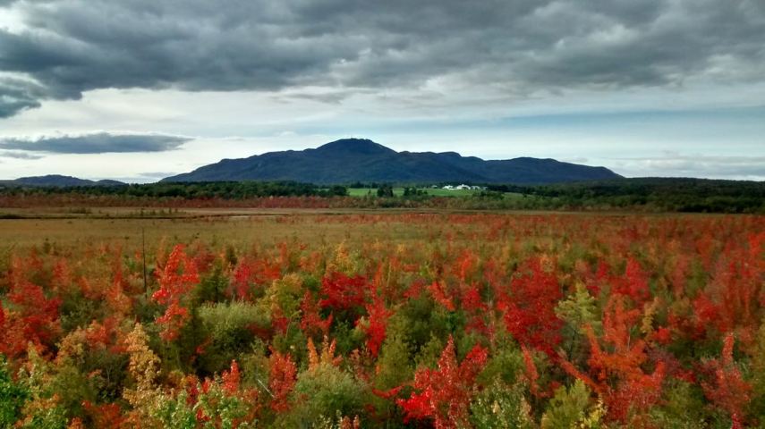 IMG_20151002_162909896_HDR