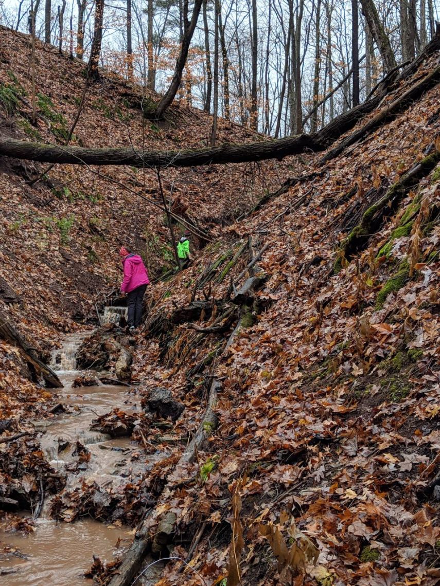 IMG_20181202_110707 (1)