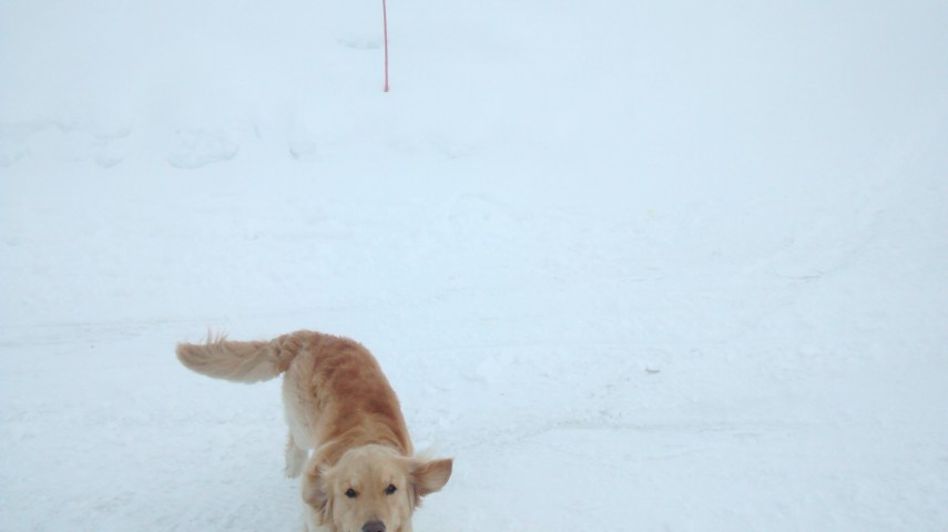 IMG_20150322_105544323