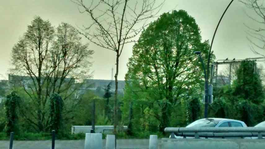 IMG_20150417_194617582_HDR