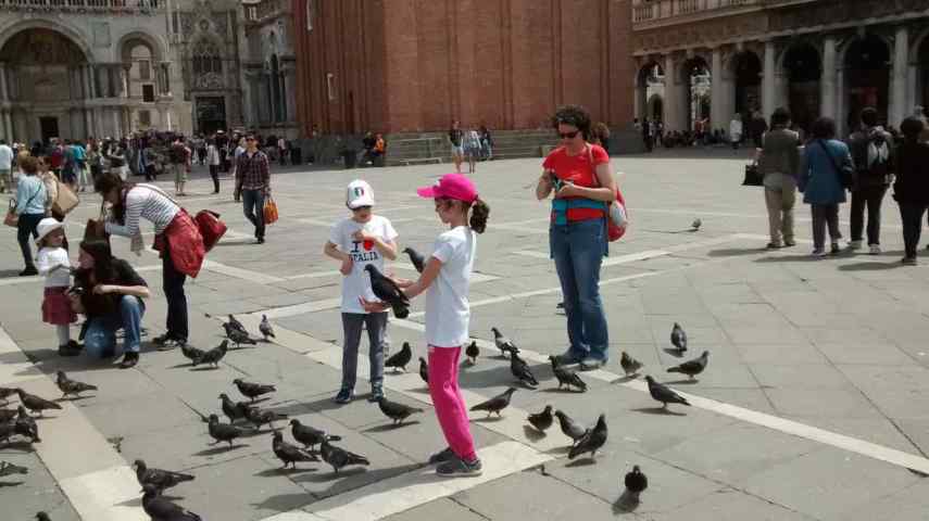 IMG_20150505_123438399